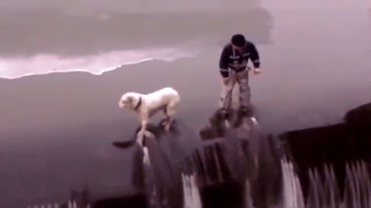 El can se quedó paralizado del miedo. Mientras un hombre intentaba rescatarlo, el animal resbaló y por poco cae al vacío.