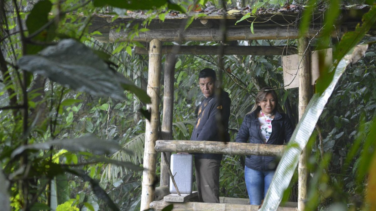 La mayoría de las concesiones mineras que el Gobierno prometió erradicar del espacio protegido continúan funcionando hoy en día, mientras que sigue en marcha un proyecto para construir una nueva planta hidroeléctrica en la parroquia de Nanegal, dentro de la Reserva.