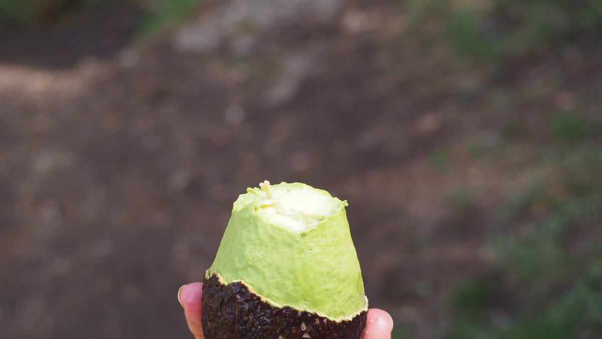 Referencial. El delincuente substrajo al rededor de 7.800 dólares en ambos robos.