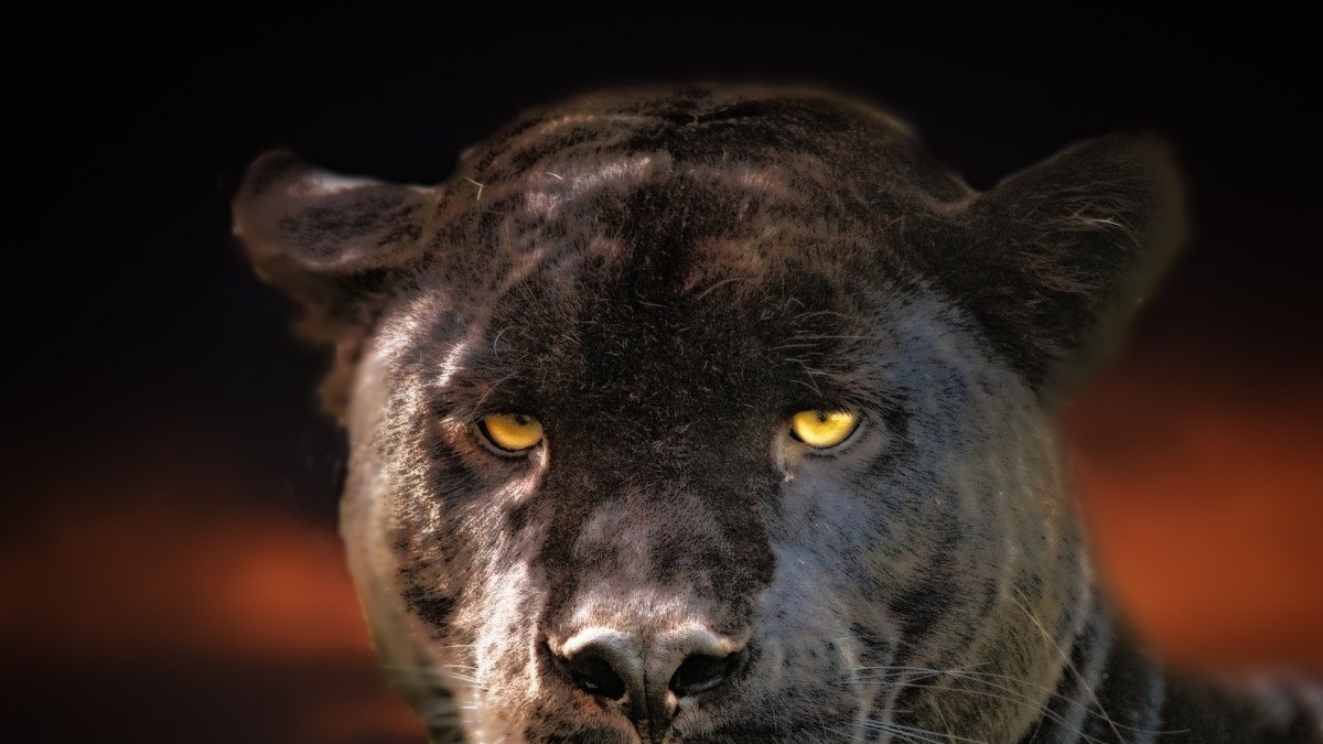 Imagen referencial. Un video muestra a la mujer retorciéndose de dolor en el suelo.