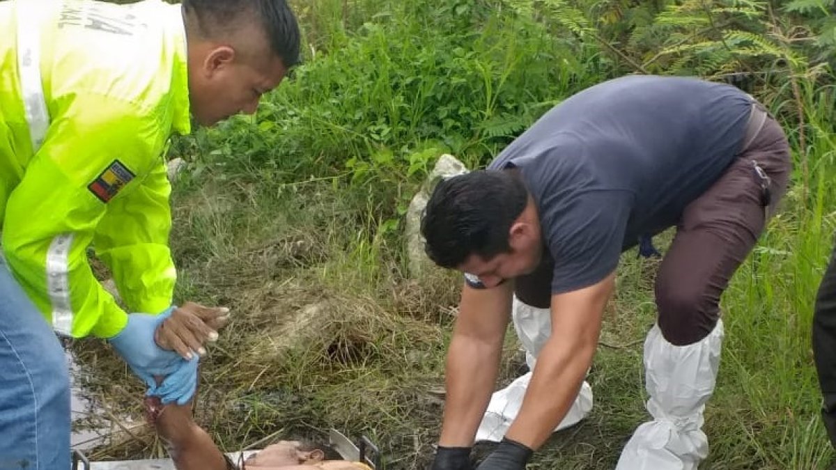 El cuerpo fue llevado a la morgue para realizar la necropsia y poder obtener algunos datos para la investigación.