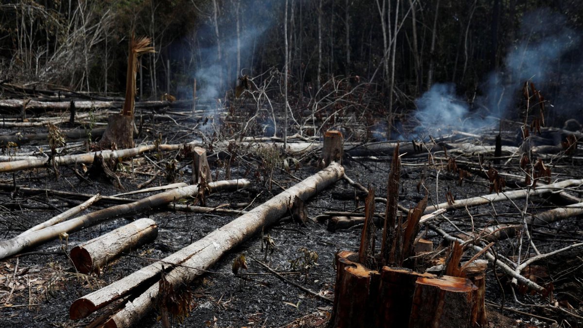 La urgencia ambiental motivó que la etiqueta #PrayForAmazonas se volviera tendencia en redes sociales, favoreciendo también la viralización de imágenes fuera de contexto.