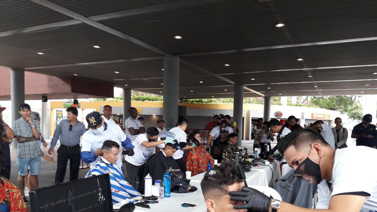 El próximo domingo 21 se define a los tres ganadores.