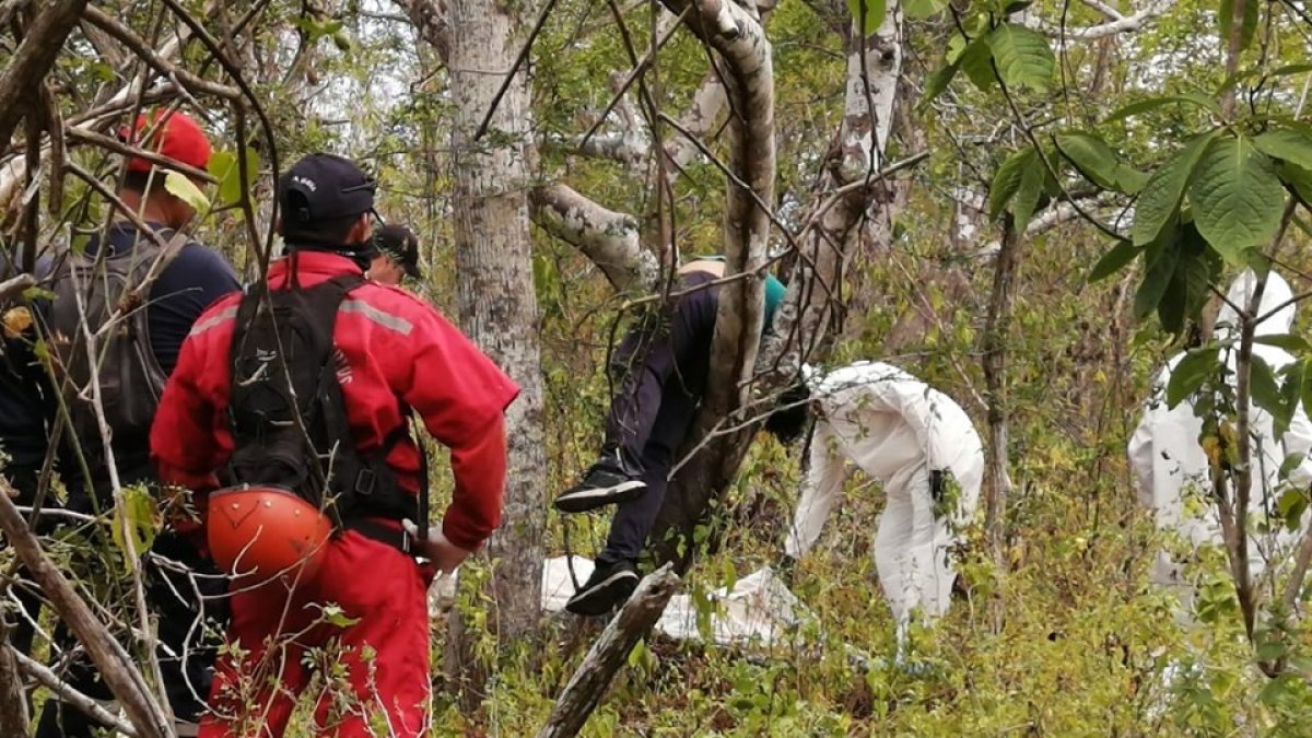 El cuerpo del peruano Hino Lonoa Correa, de 37 años, estaba suspendido en la rama de un árbol. Tenía un disparo.