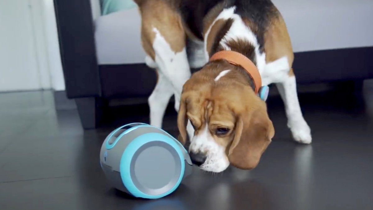 Los fabricantes de tecnología se han propuesto mejorar la interacción y calidad de vida de nuestros amigos más fieles.