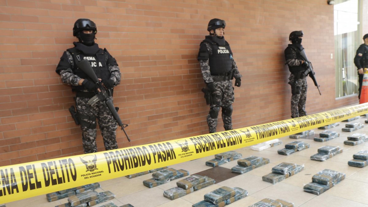 Los operativos se llevaron a cabo en las provincias de Esmeraldas, Cañar, El Oro, Guayas, Zamora Chinchipe, Santo Domingo de los Tsáchilas y Galápagos, explicó la autoridad.