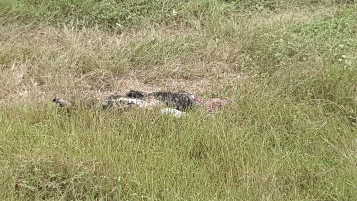 El cuerpo del agricultor quedó entre los matorrales, donde fue hallado la mañana de este sábado 6 de julio.