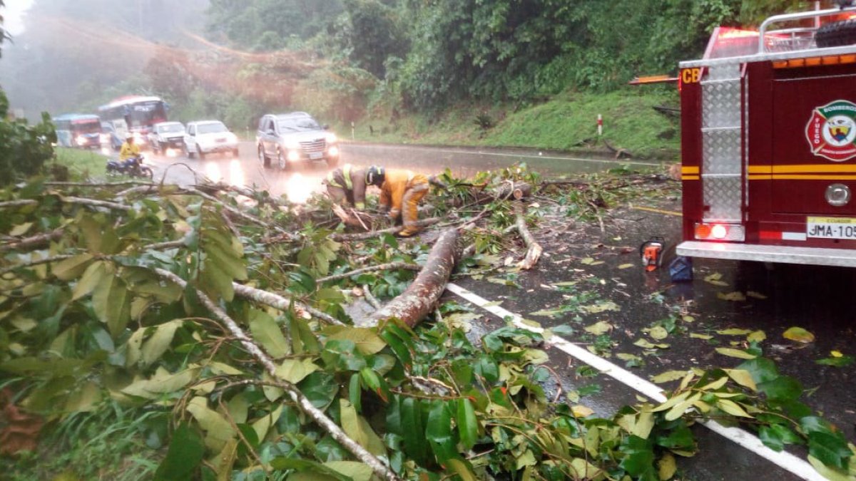 En el carril de subida en sentido Santo Domingo-Quito, en el kilómetro 72, es donde se encuentra una gran cantidad de ramas de árboles y vegetación que cubre la calzada.