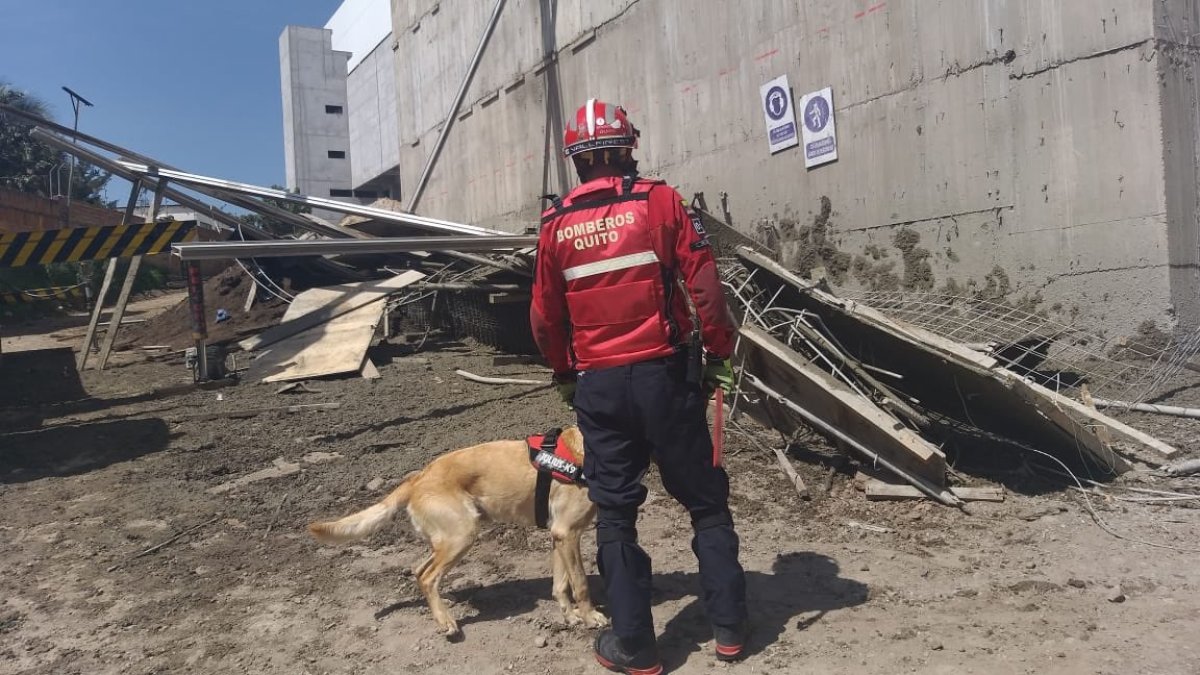 En el sitio de la emergencia se construye un centro comercial.