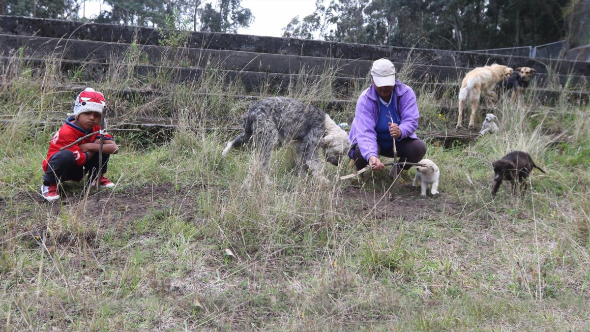 Los perros que mueren no son botados, sino sepultados en un pequeño terreno del lugar.