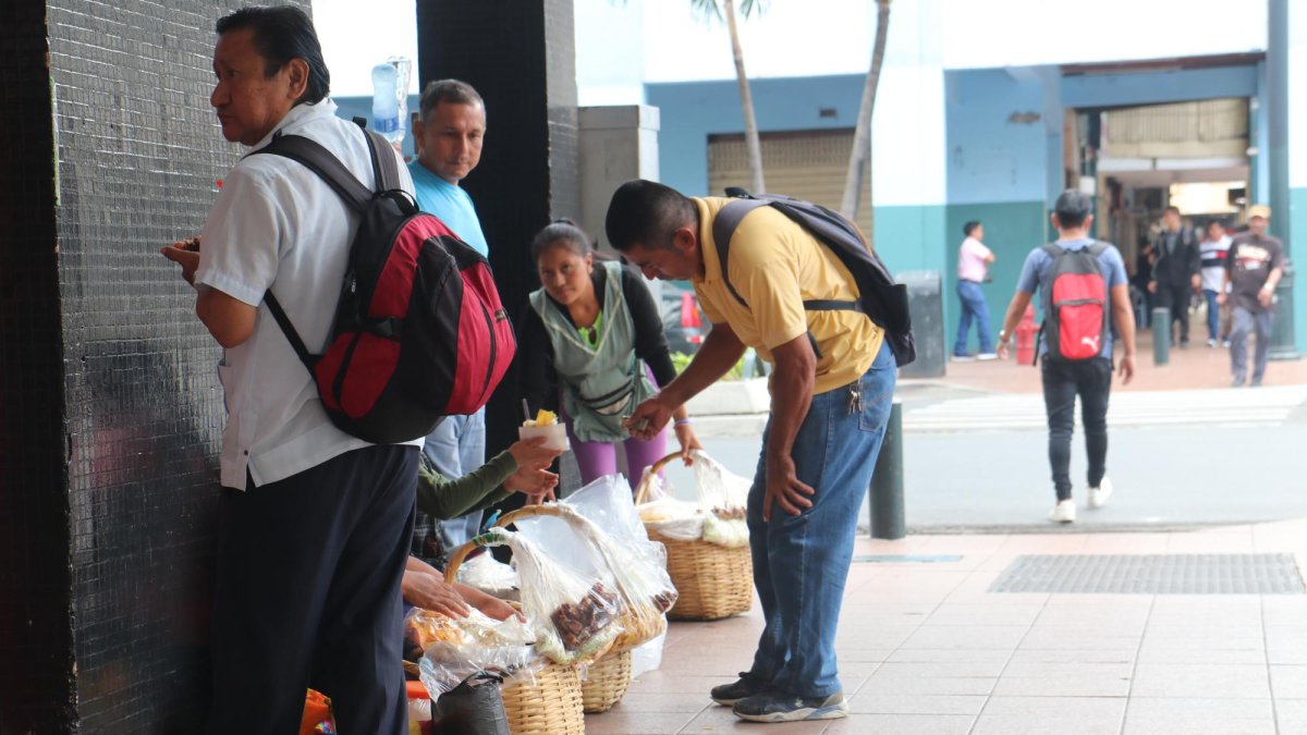 Los  alimentos a nivel del suelo se contaminan por distintos factores: suciedad, esmog, aguas servidas.