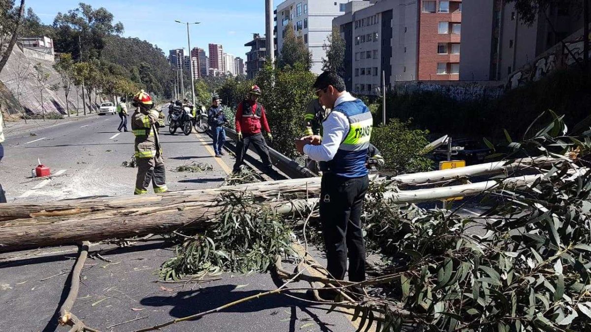 En el hecho ninguna persona herida, ni hubo daños a los vehículos. El tendido eléctrico termino en el piso.