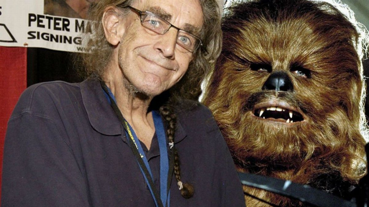 Aunque se dio a conocer hoy su muerte, Mayhew falleció el martes 30 de abril en su casa en Texas, donde residía este actor nacido en Londres en 1944 y que habría cumplido 75 años el próximo 19 de mayo.