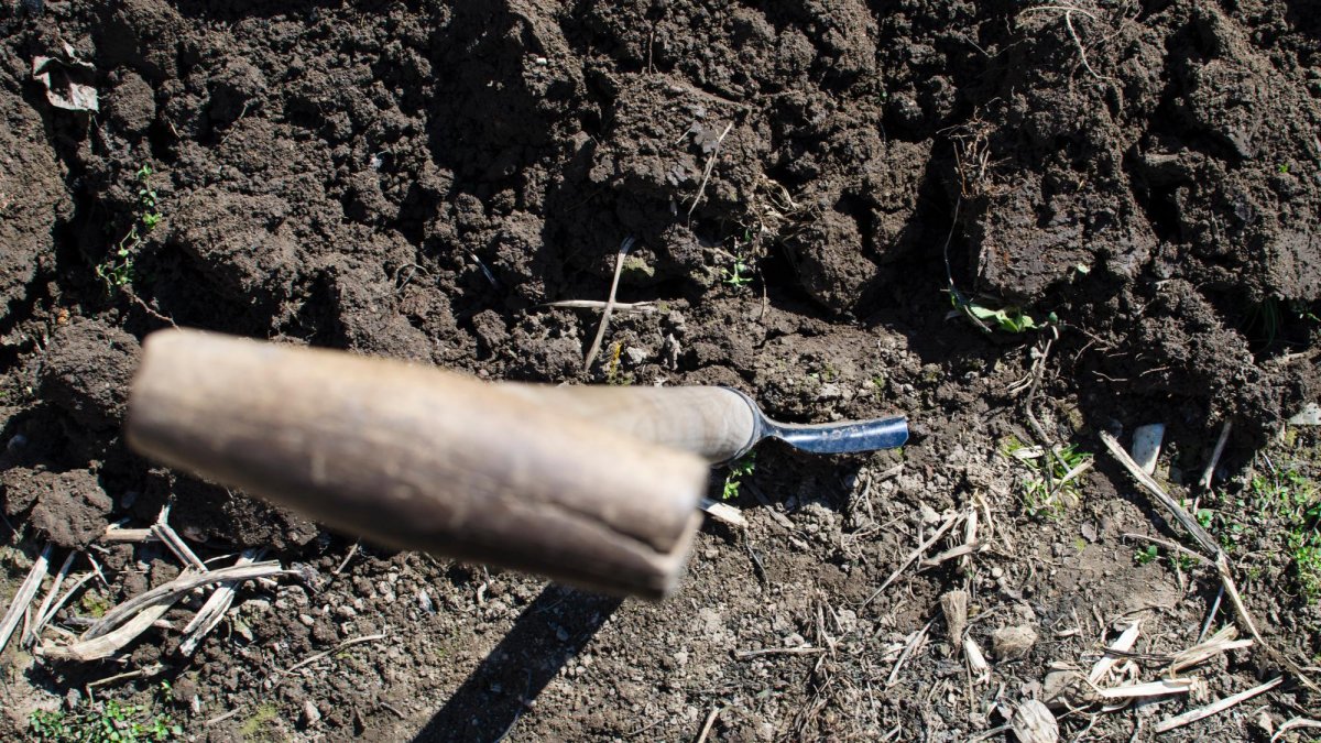Aaron Frased tenía 3 años cuando fue testigo del asesinato de su madre.