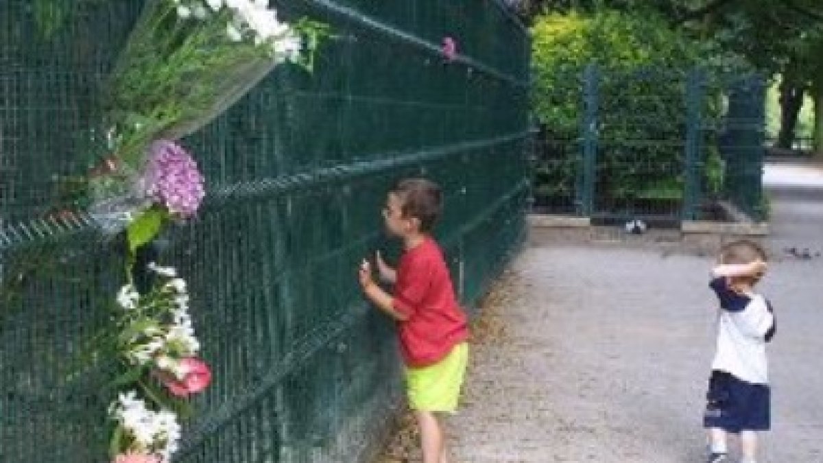 Homenaje al niño Borja Solar en el parque donde fue asesinado.