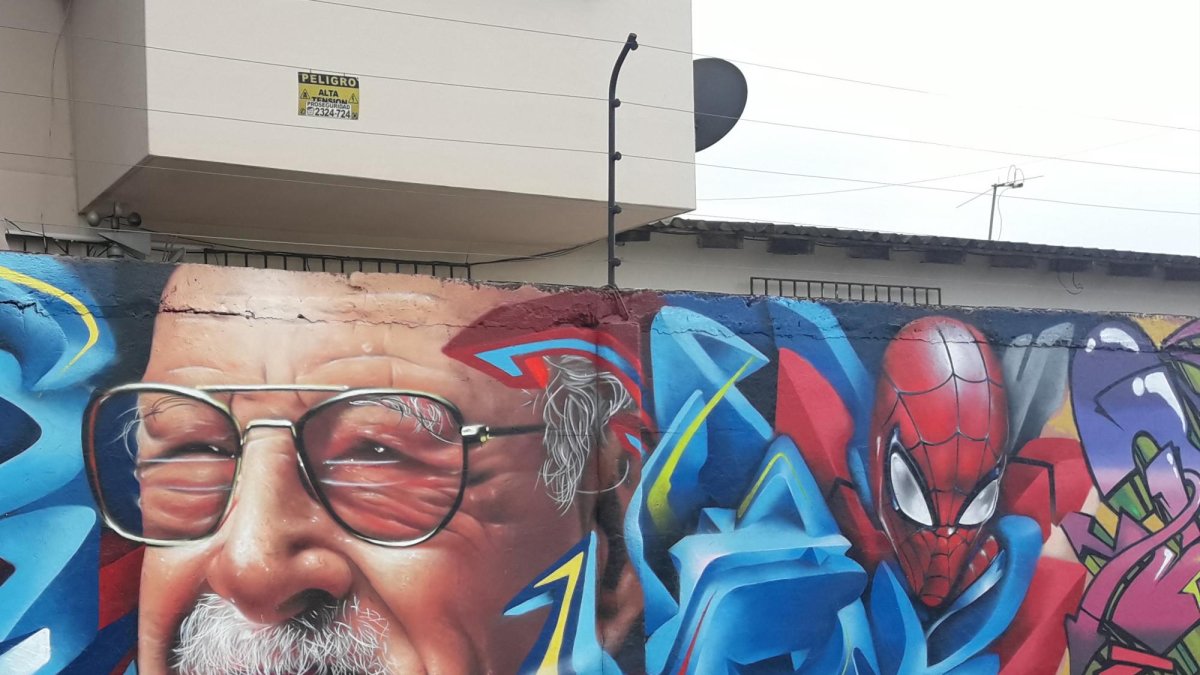 El mural está pintado en la pared de la villa 15 de la manzana 1, de la ciudadela Amazonas, sur de la ciudad. Q