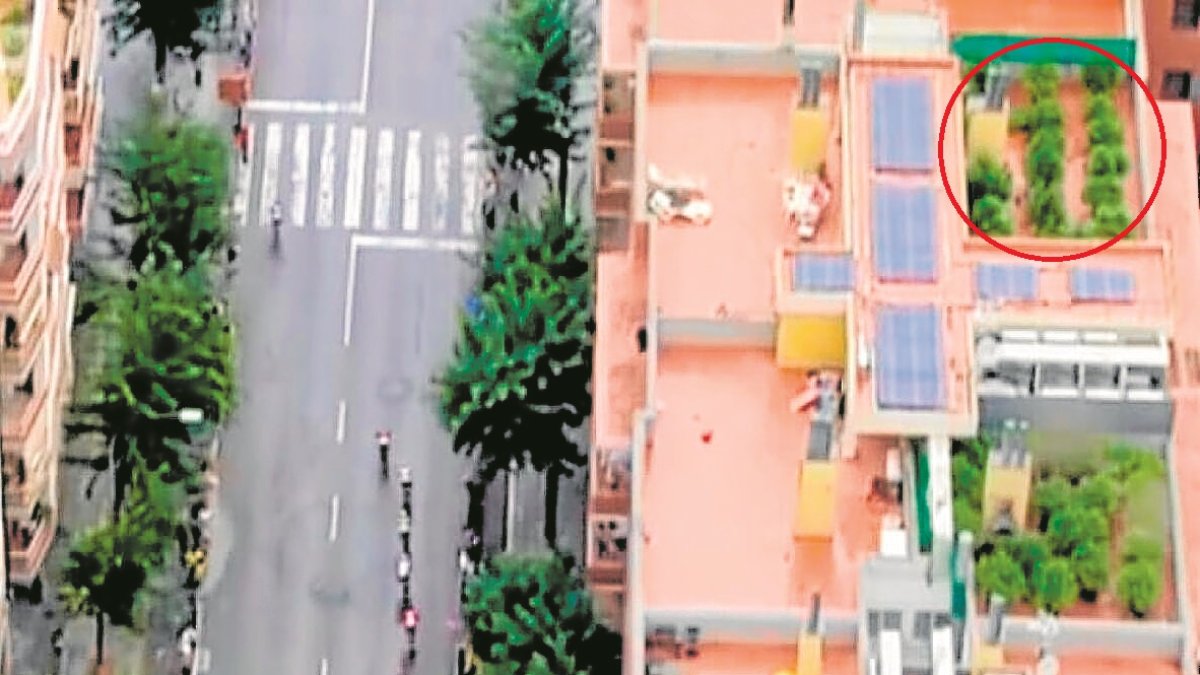 En la parte derecha de la imagen se puede observar las plantaciones de hierba que se encontraban en la terraza de un edificio en Barcelona.