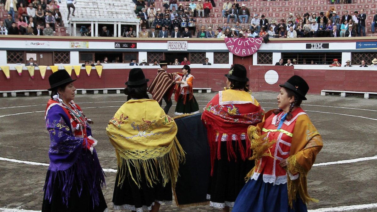 El escenario fue inaugurado en 1920 para eventos taurinos, así como para peleas de boxeo y presentaciones artísticas.
