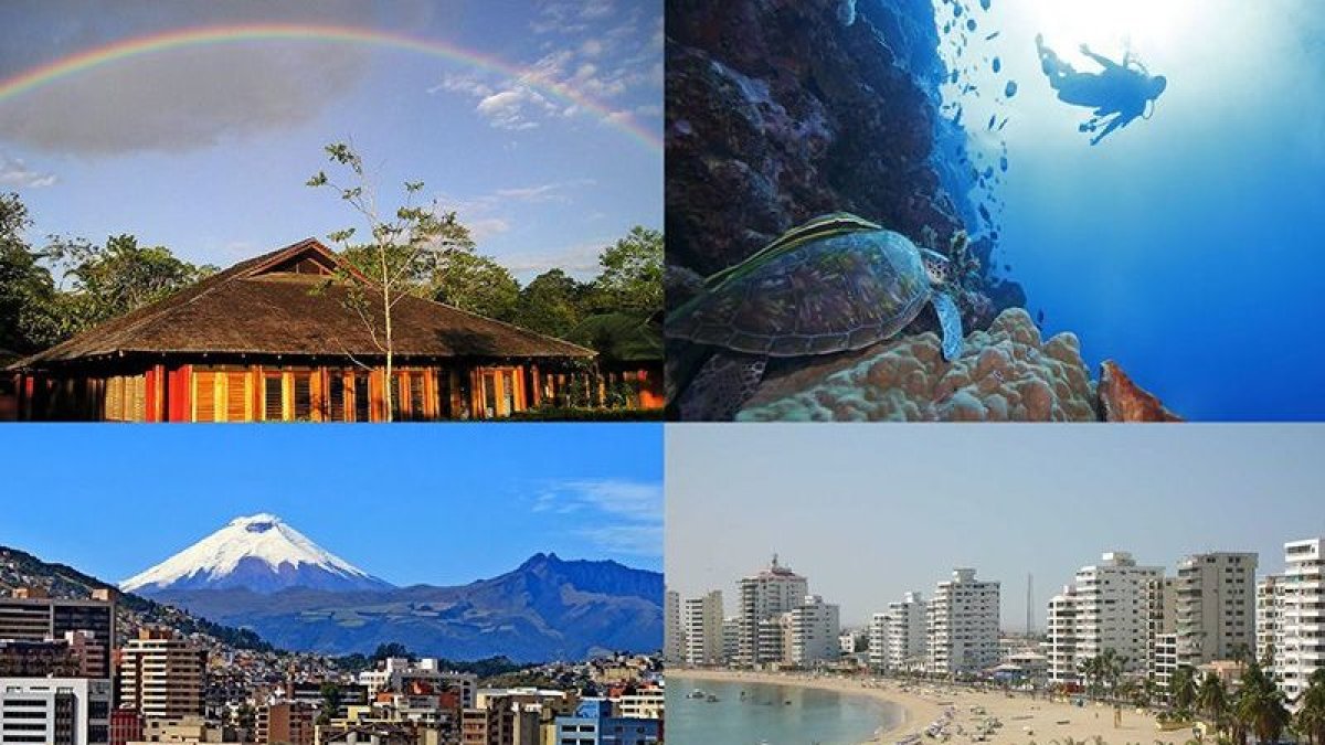 Si estás interesado en irte a ‘turistear’ por la Costa, Sierra, Oriente y las Galápagos, el crédito ‘Vive Ecuador’ te permitirá lograrlo.