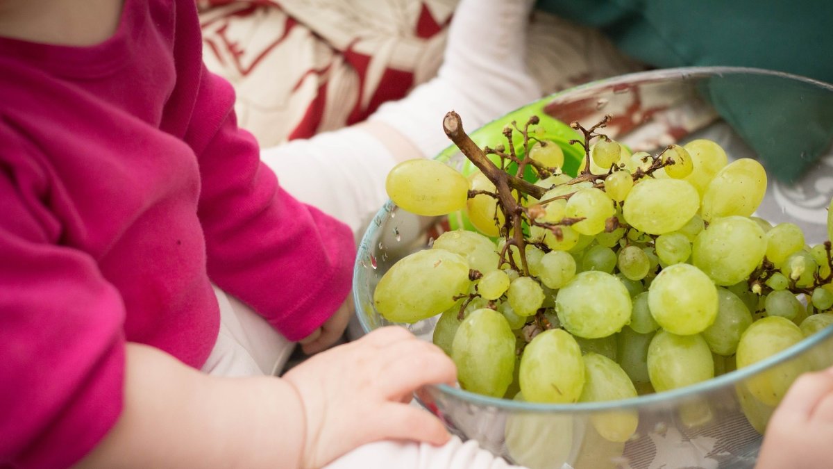 Thiago Leonel Guamán, vivía junto a su madre, Viviana, de 39 años, en el barrio El Natahoyo en Gijón, España, cuando la desgracia llegó.