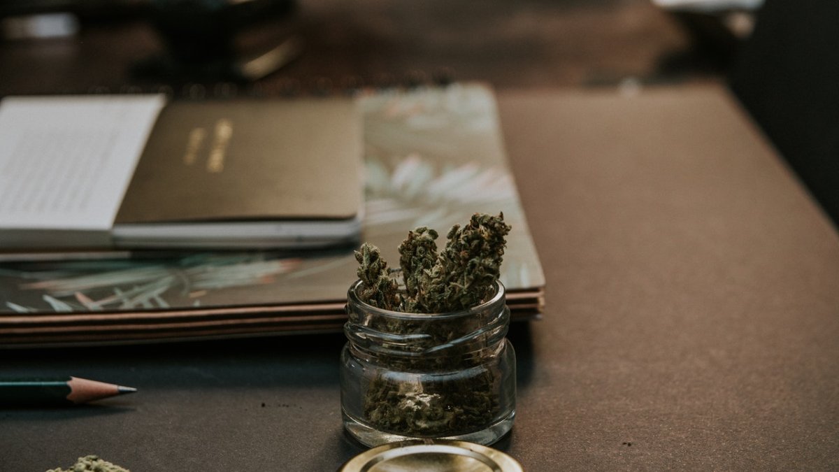 Referencial. Los adultos de 50 años o más representan el 16,9% de usuarios que usan la marihuana con fines no médicos.