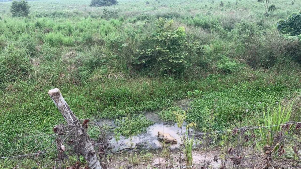 En un saco de yute fue encontrado el cuerpo del joven desaparecido en El Empalme.