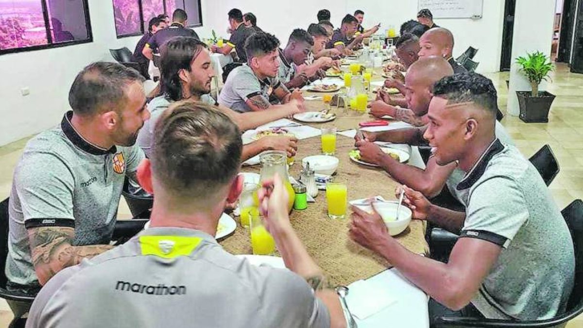 Disciplina. Cuando los canarios se alimentan, la interrelación se fortalece. El diálogo entre ellos es permanente.