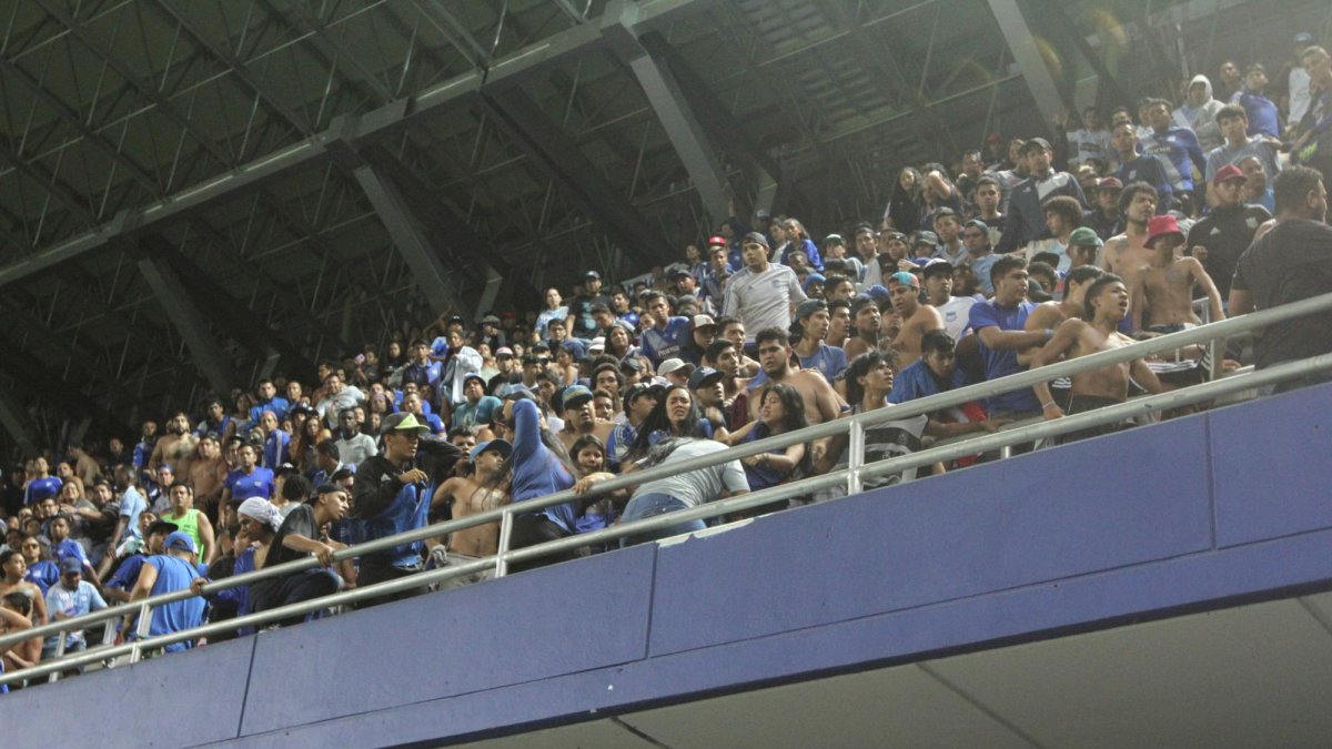 La ley tiene un objetivo claro: garantizar el acceso seguro a los estadios y otros escenarios del deporte, erradicando los actos violentos.