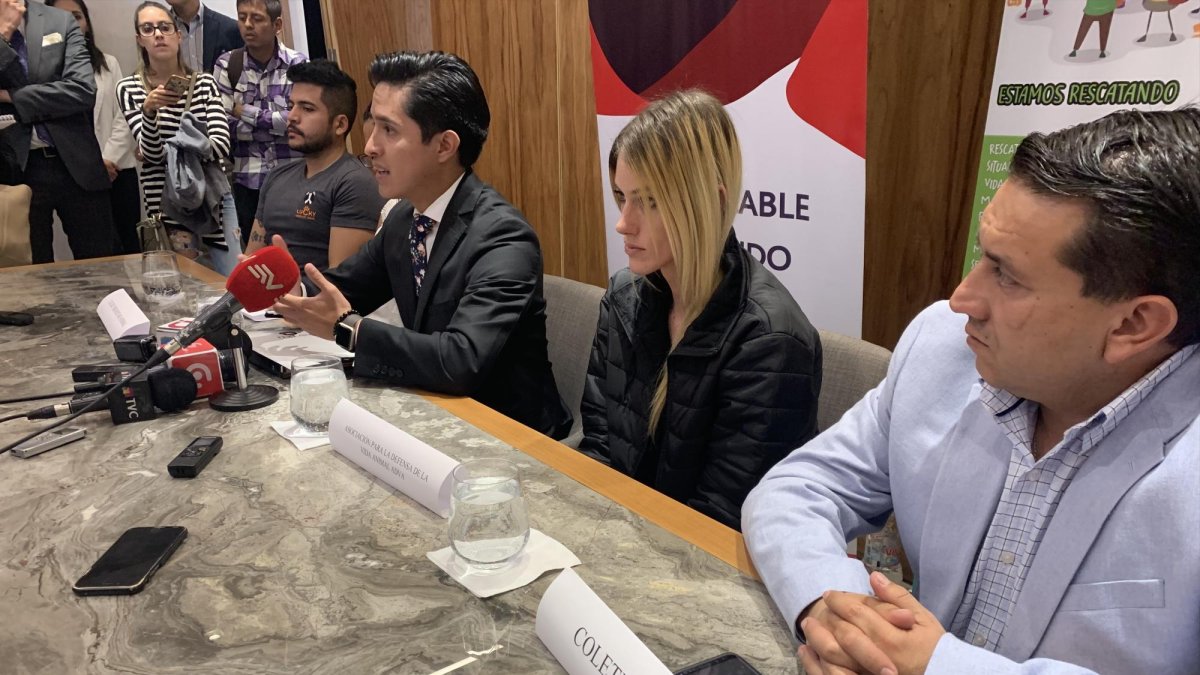 Representantes de las organizaciones afectadas afirman que van detrás del autor de esta matanza de perros ocurrida la semana anterior.