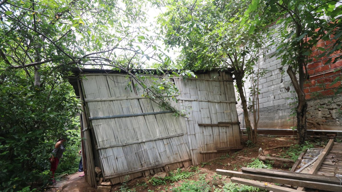 La estructura de la vivienda está debilitada. El material se ha podrido.