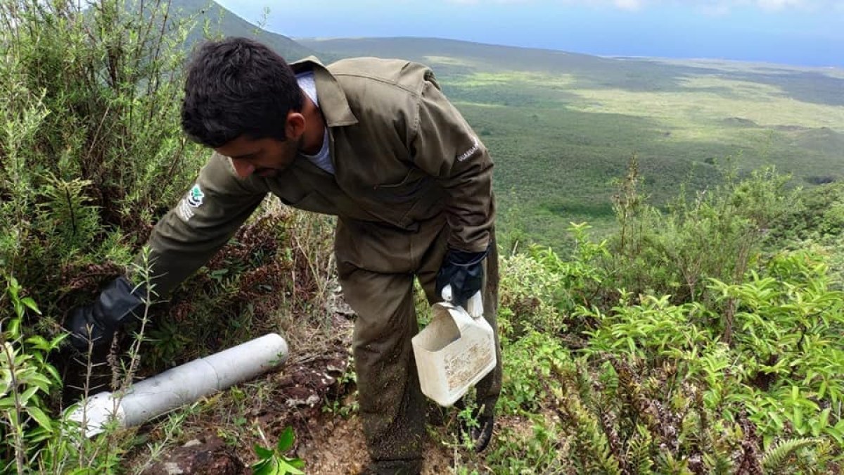 Los guardaparques controlan diversas zonas.