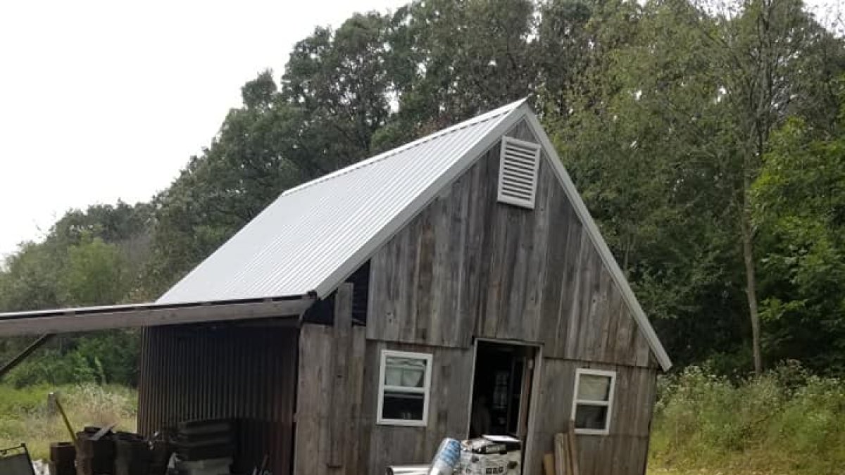 Los animales fueron descubiertos en la propiedad de Tiffany Woodington, en Missouri.