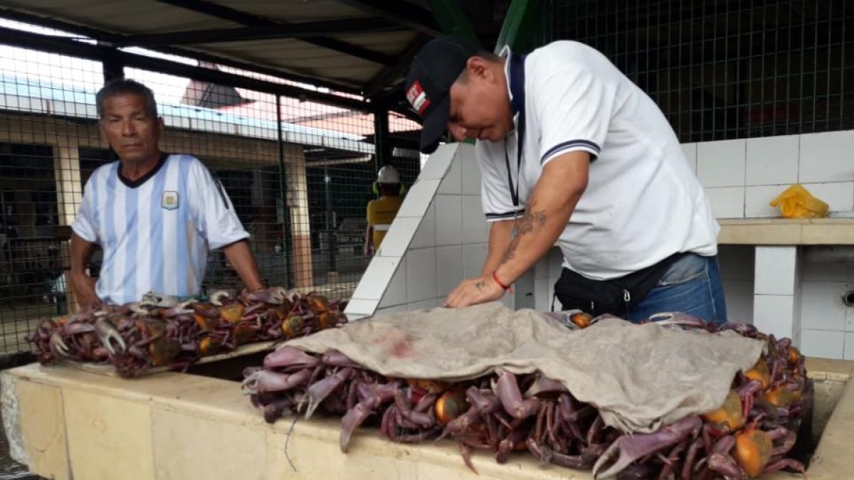 La segunda veda será el 15 de agosto.