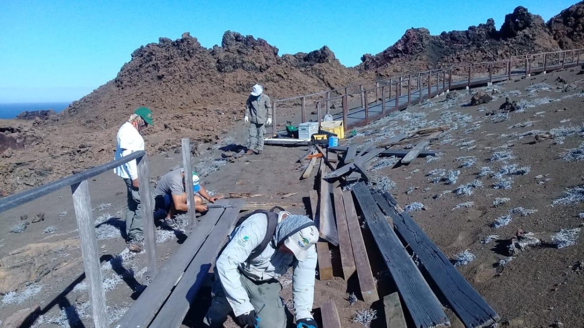Ese islote en el nororiente de Galápagos tiene en su cima un mirador desde donde se puede observar la falta y fauna del lugar.