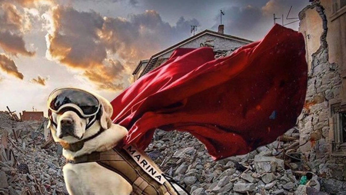 La icónica imagen de Frida que dio la vuelta al mundo.