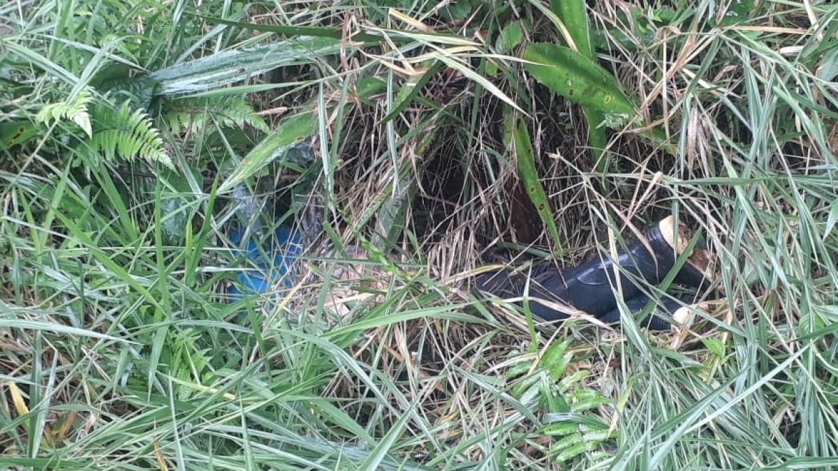 Parte del cuerpo estaba visible y otra parte estaba oculta por la espesa maleza.