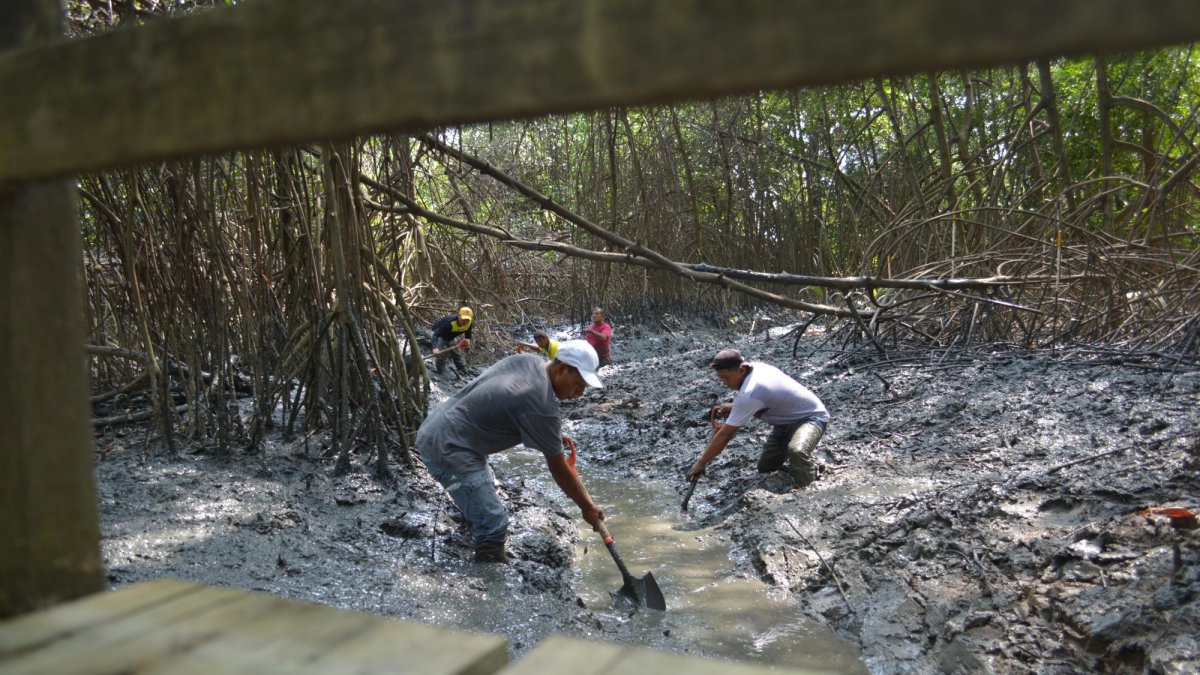 Guayaquil es una ciudad que por sus asentamientos ha dejado atrás la existencia de manglares.