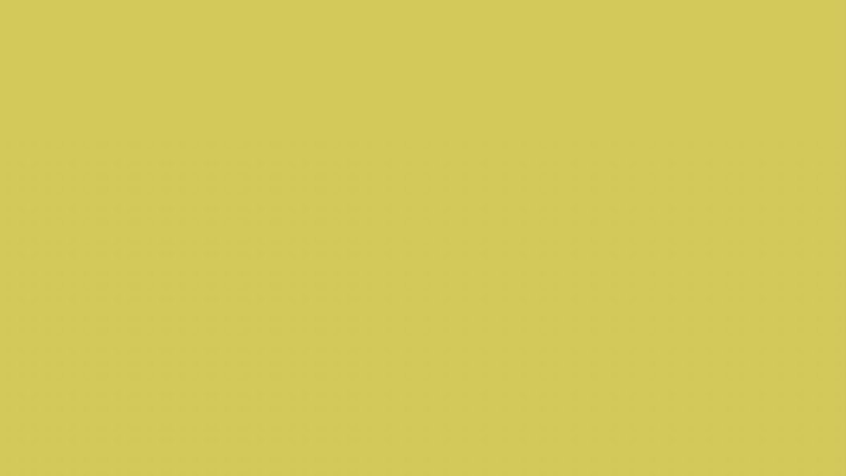 Campanita, Nathalie Carvajal y Bratt contaron qué harían si adquirieran una vivienda.