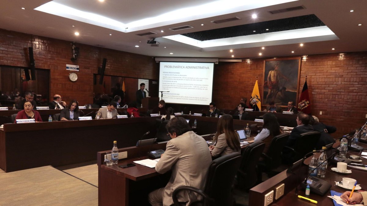 La tarea de este grupo de ciudadanos será asesorar, conocer, evaluar y hacer recomendaciones a la Secretaría General de Planificación del Muncipio de Quito.