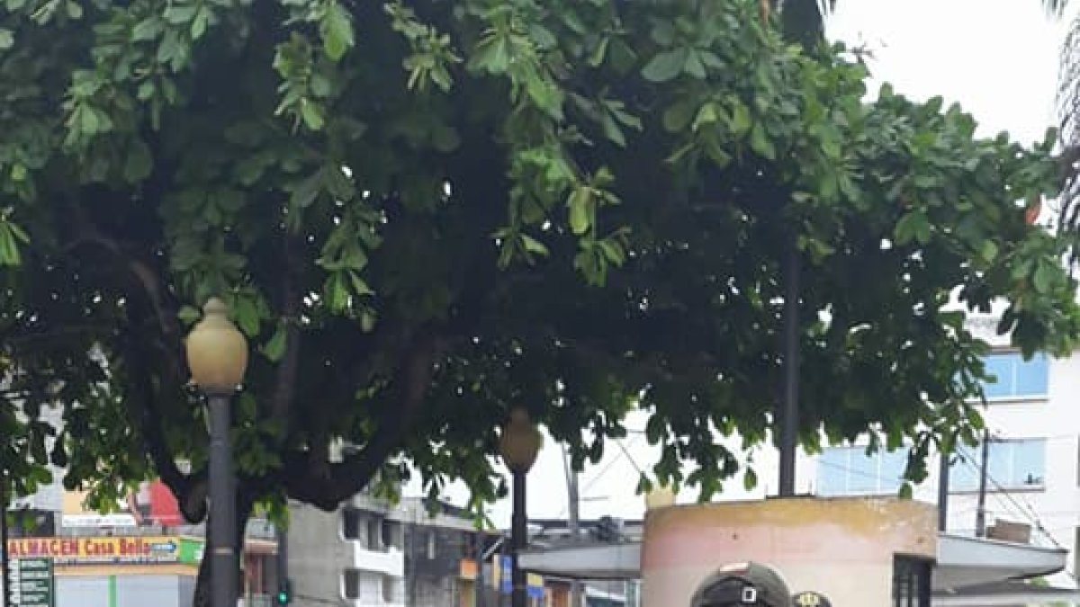 Los policías intervinieron en la inspección de las mujeres.