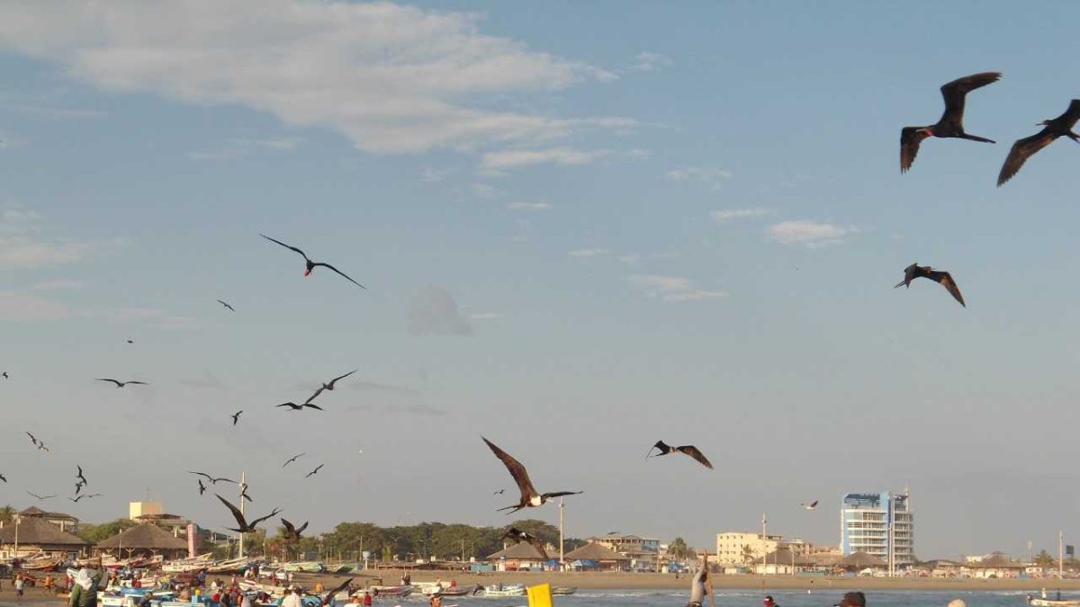 Pescadores enviaron un pliego con cinco peticiones a la Presidencia de la República.