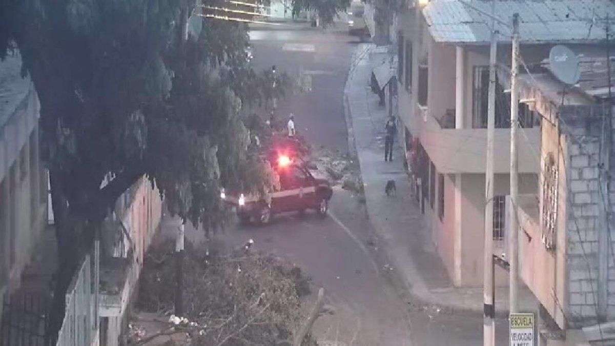 Los residuos del árbol fueron levantados por el departamento de áreas verdes del Municipio.