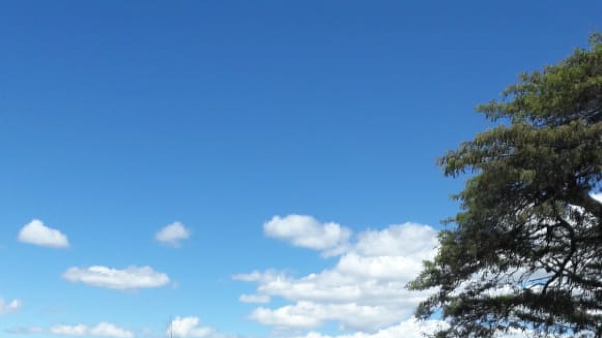 Los bomberos acudieron al lugar de la tragedia.