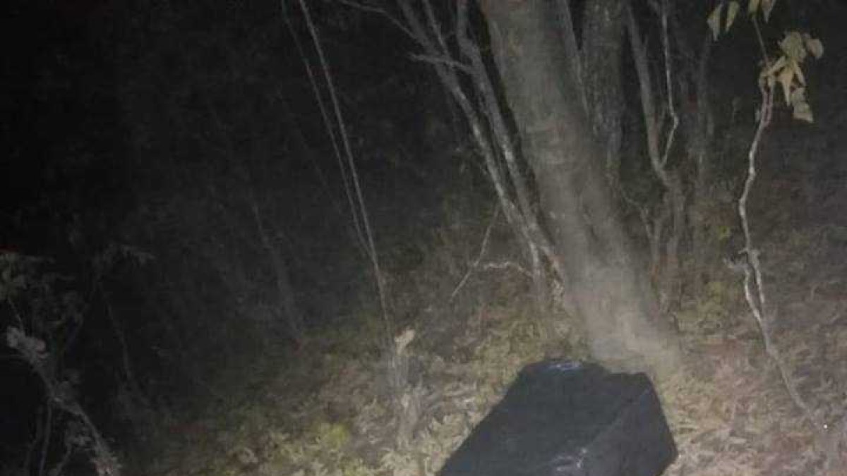 Se encontraron 147 bloques de marihuana.