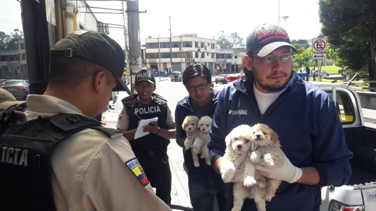 Los operativos continuarán en la capital.