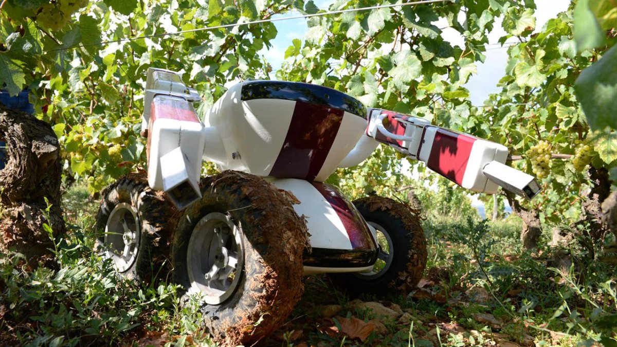 La ONU alertó la semana pasada de que el hambre creció en 2017 por tercer año consecutivo, hasta afectar a 821 millones de personas en todo el mundo.