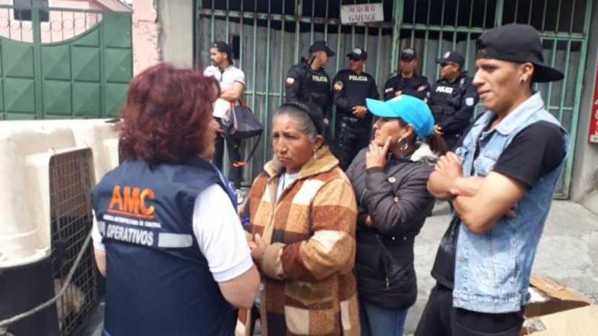 En este control se verifica si esta actividad económica vulnera las cinco libertades de bienestar animal.