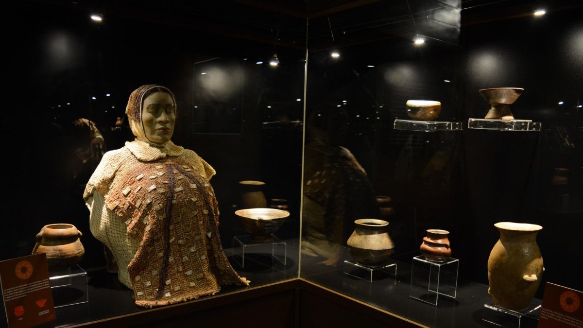 Los cursos abordan historia e incluso el área de reciclaje.