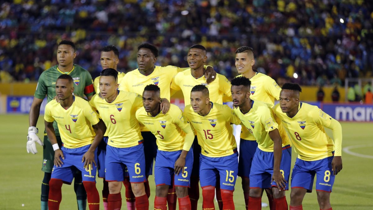 Ecuador inició un proceso de renovación con varios futbolistas que militan en equipos del medio y que venían pidiendo espacio en el combinado nacional.