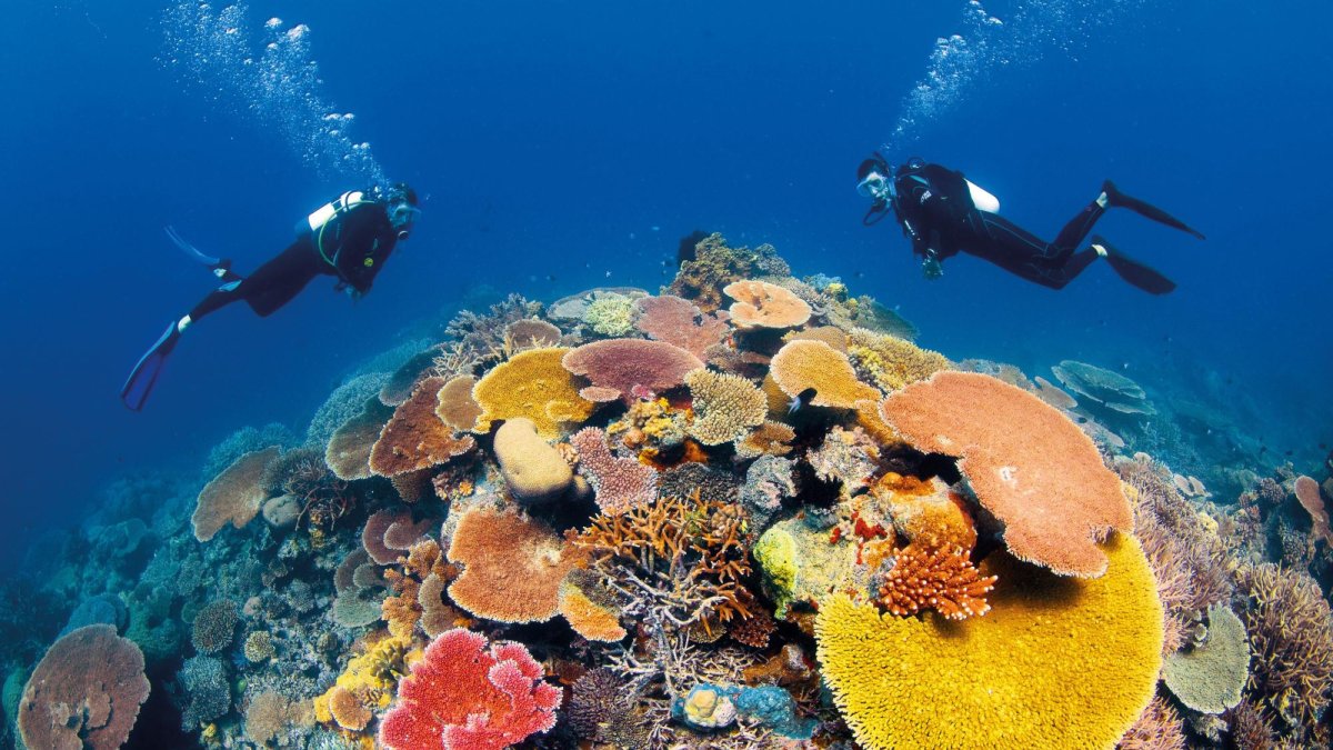 Referencial. Están considerados como el bioma con más valor monetario.